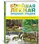 Большая лесная энциклопедия. Знакомимся с природой России — 2902463 — 2