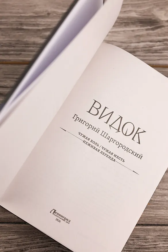 Книга Видок-1 (сборник) (Григорий Шаргородский) — 9