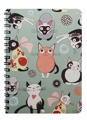 Записная книжка А6 80л кл. "Котейки" спираль, Kairui 240224