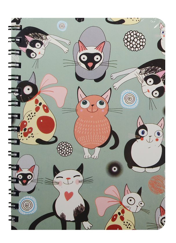 Записная книжка «Котейки» А6, 80 листов в клетку, спираль, Kairui 240224 — 1
