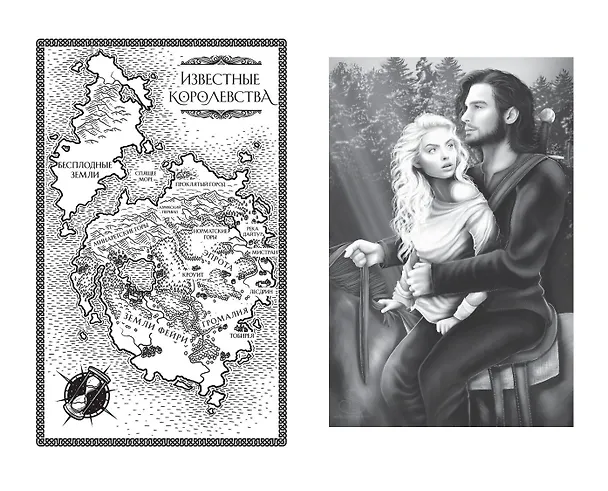 Книга Двор очаровательный и жестокий (#1) (Стасия Старк) — 10