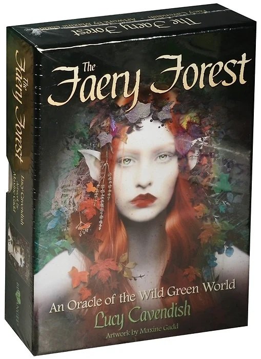 ΠΠ½ΠΈΠ³Π° The Faery Forest () β 1