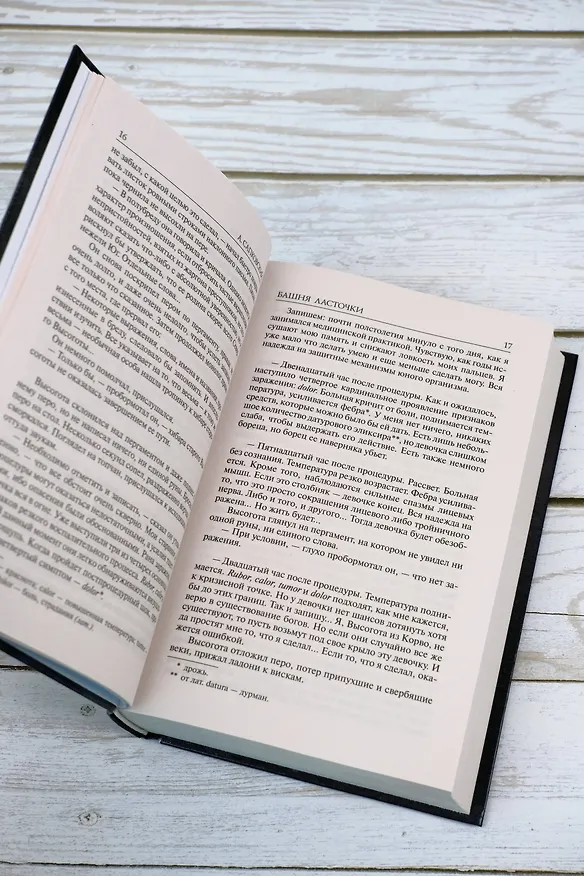 Книга Башня Ласточки : [фантаст. роман] (Анджей Сапковский) — 9