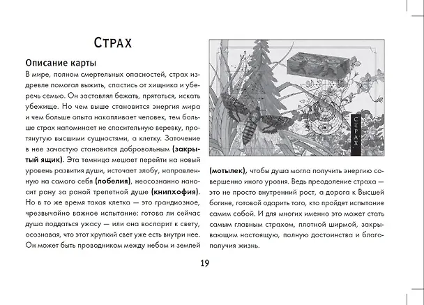 Книга Зеленая лесная Магия. Witch Oracle Cards (Изабель Моррис) — 5