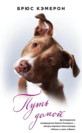 Книга Путь домой (Брюс Кэмерон)
