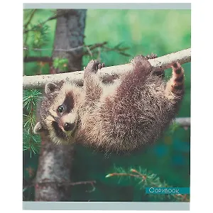 Тетрадь в клетку Unnika, "Крошка-енот", 48 листов, в ассортименте