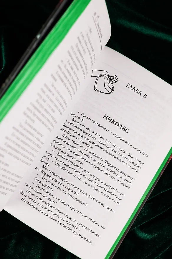 Книга Скверная. Специальное издание (Эмили Макинтайр) — 13