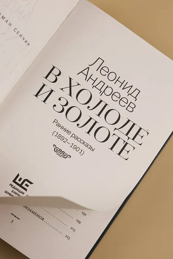 Книга В холоде и золоте. Ранние рассказы (1892-1901) (Леонид Андреев) — 14