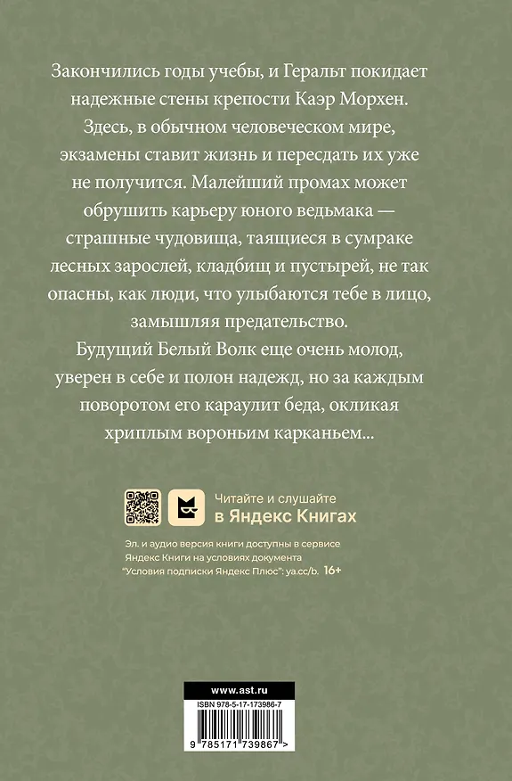 Книга Перекресток Воронов  (Анджей Сапковский) — 2