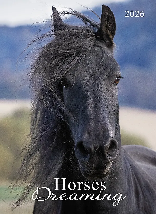 Календарь 2026г 370*560 "Horses Dreaming (Сны о лошадях)" настенный, на спирали 3108280 — 1