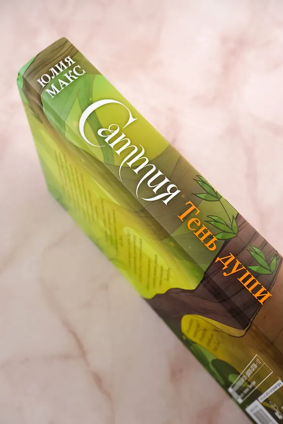 Книга Саттия. Тень души (Юлия Макс) — 13