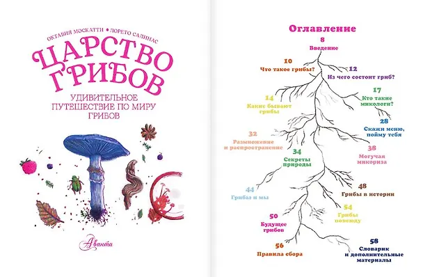 Книга Царство грибов (Октавия Москатти) — 9