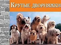 Крутые дворняжки