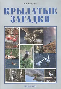 Крылатые загадки. 3-4 классы