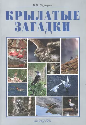 Крылатые загадки. 3-4 классы — 2528500 — 1