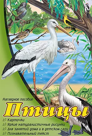 Птицы: набор карточек — 2451094 — 1