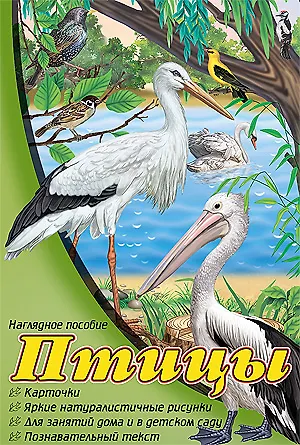 Книга Птицы: набор карточек (Виктория Гетцель) — 1