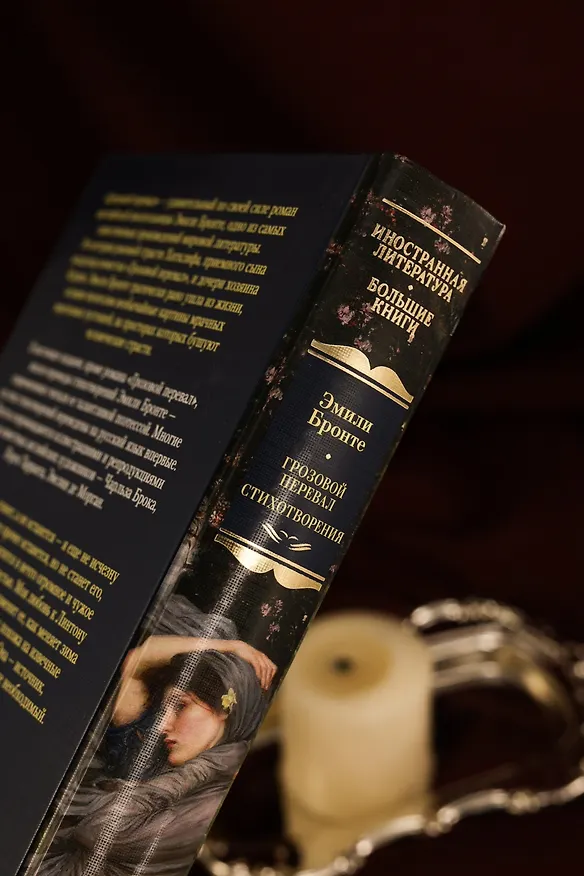 Книга Грозовой перевал. Стихотворения (Эмили Джейн Бронте) — 12