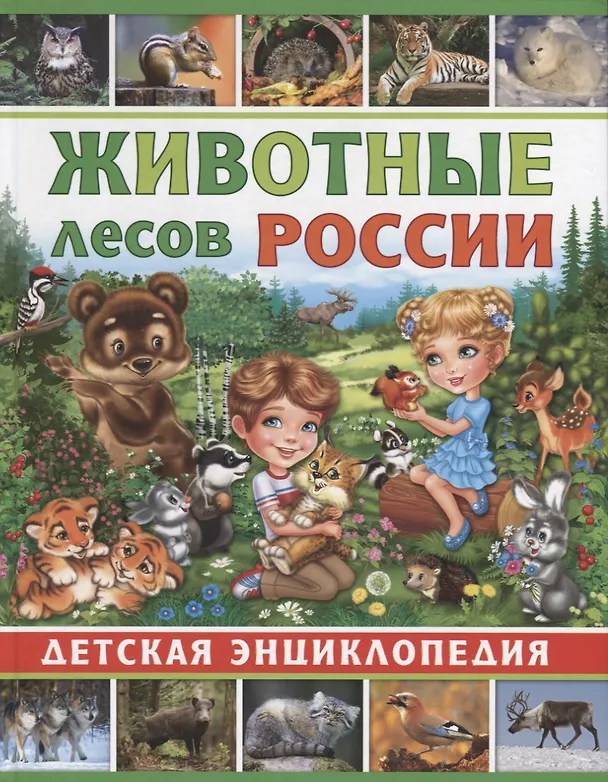 Книга Животные лесов России. Детская энциклопедия () — 1