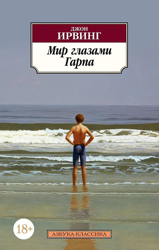 Книга Мир глазами Гарпа (Джон Ирвинг) — 1