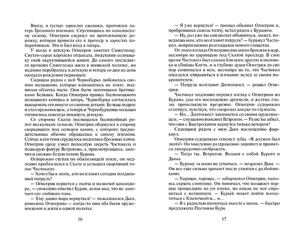 Книга Бушующая стихия (Эрин Хантер) — 8