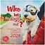 Календарь 2024г 290*290 "Who let the dogs out? Календарь для всех, кто любит свою собаченьку" настенный, на скрепке — 2998117 — 1