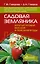 Садовая земляника. Богатый урожай вкусной и полезной ягоды — 3017414 — 1