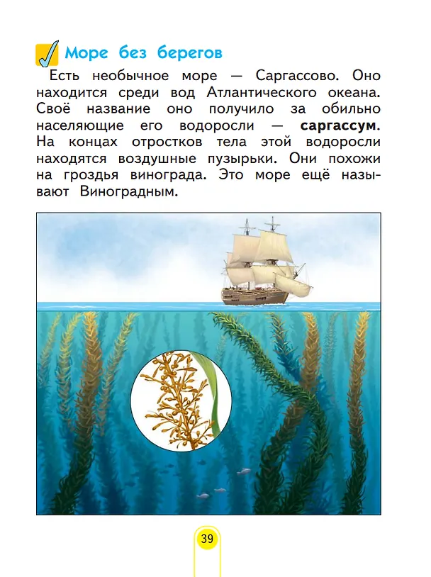 Книга Окружающий мир. 2 класс. Учебное пособие . В 2-х частях. Часть 2 (Нинель Дмитриева, Аркадий Казаков) — 4