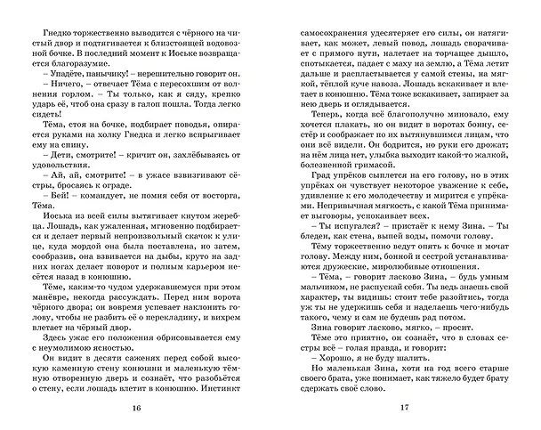 Книга Детство Тёмы (Николай Гарин-Михайловский) — 13