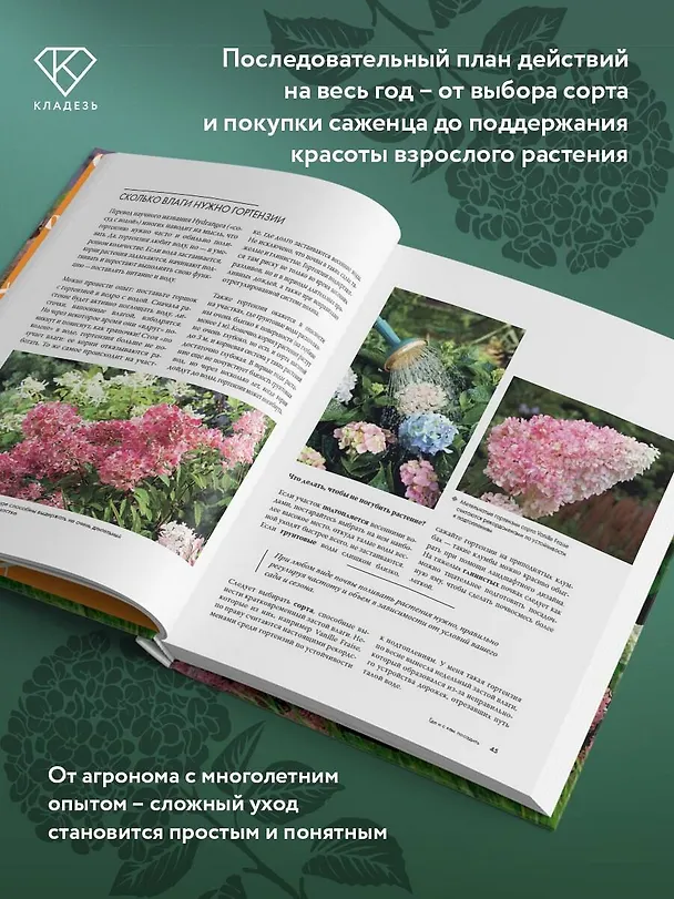 Книга Гортензии. Выращиваем, ухаживаем и наслаждаемся в любом саду (Лариса Кочелаева) — 7