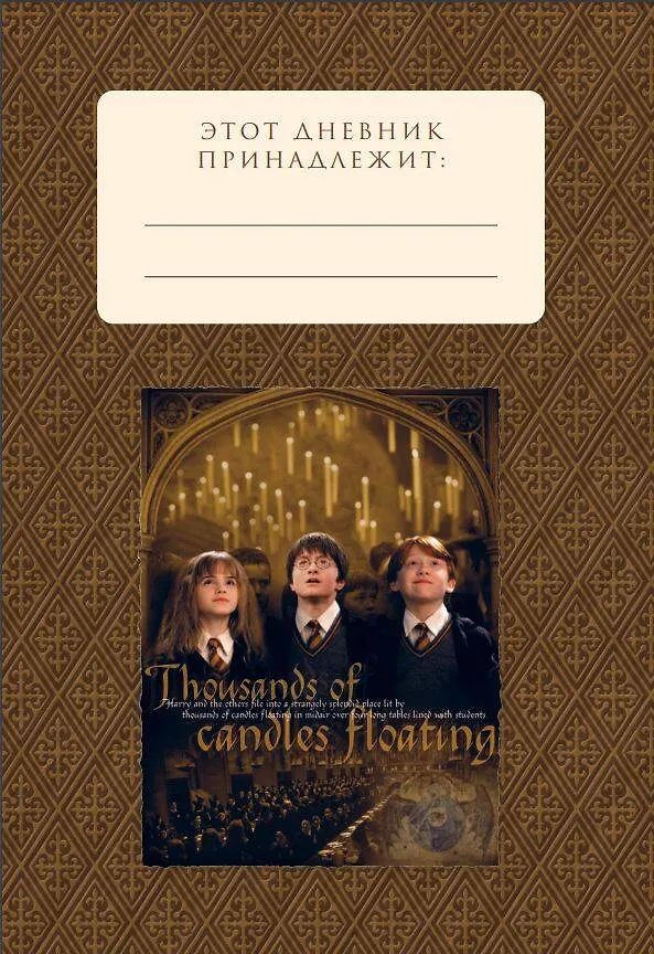Книга Читательский дневник. Гарри Поттер (32 л., твердый переплет, с наклейками) () — 9