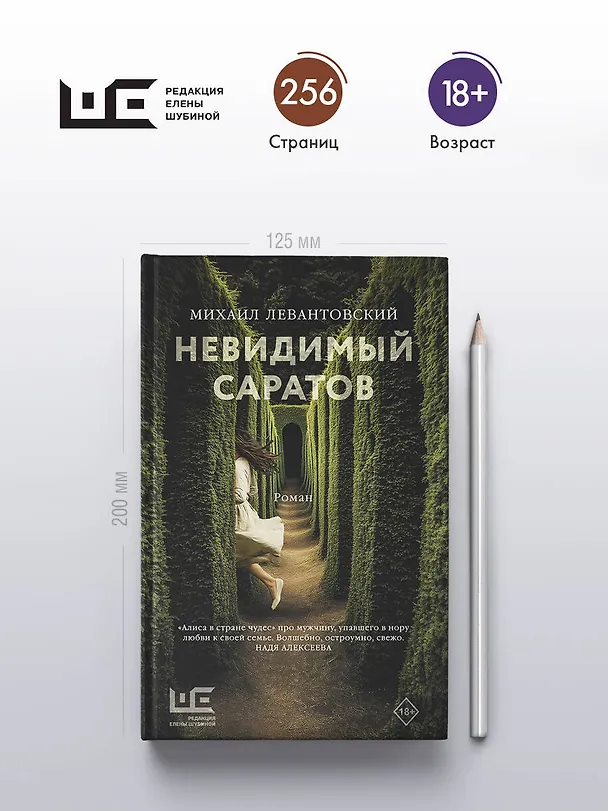 Книга Невидимый Саратов (Михаил Левантовский) — 5
