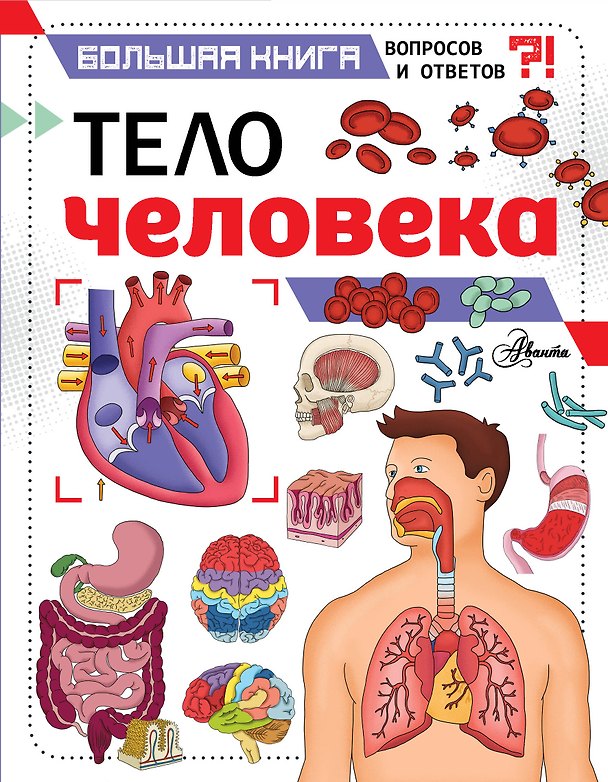 Книга Тело человека (Джон Фарндон) — 1