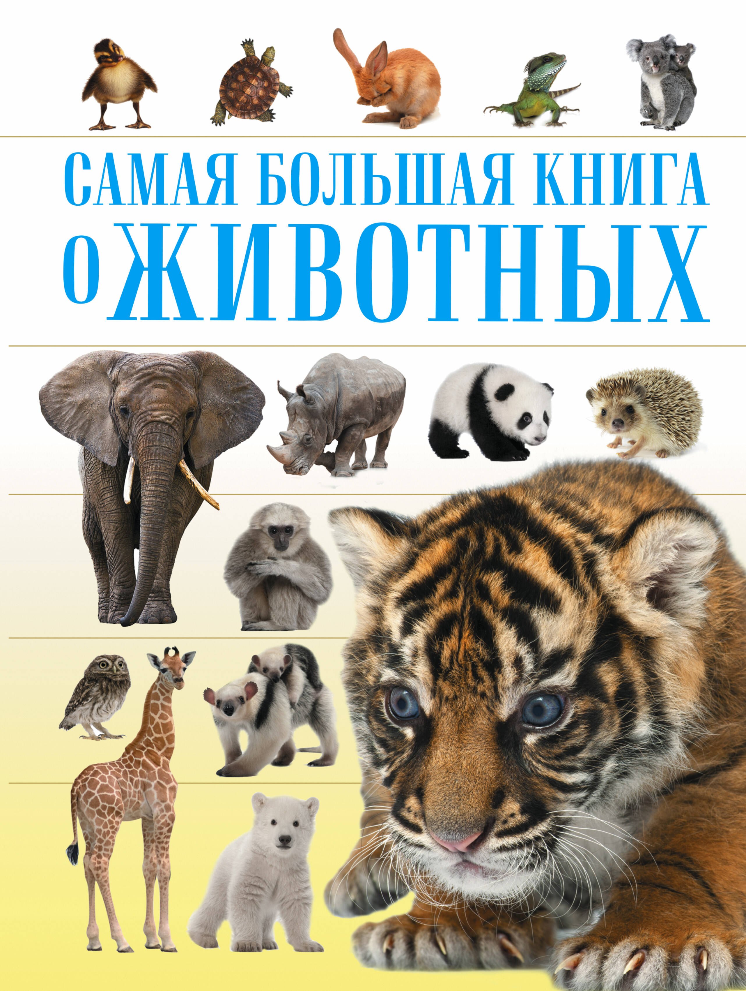 

СамБолКнига О животных