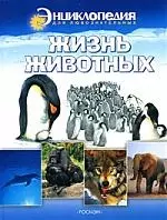 Жизнь животных — 2172739 — 1