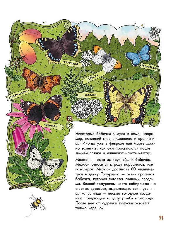 Книга Насекомые (Эмма Янссон) — 8