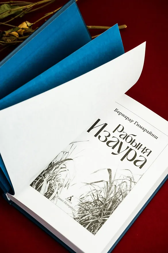 Книга Рабыня Изаура (Бернарду Гимарайнш) — 18