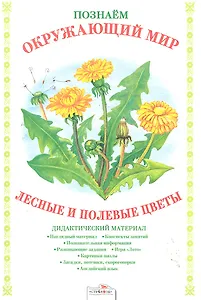 Лесные и полевые цветы.Дид.материал