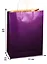 Пакет А3 43*33*10 крафт, нейтр., фиолет. — 257220 — 2
