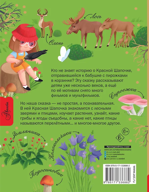 Книга Красная Шапочка и тайны леса (Дарья Мультановская) — 2