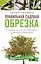 Правильная садовая обрезка. Схемы и иллюстрации для начинающих — 2904434 — 1