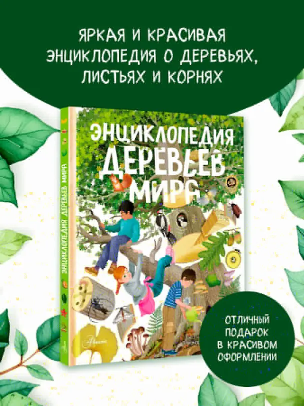 Книга Энциклопедия деревьев мира (Элеонора Барсотти) — 4
