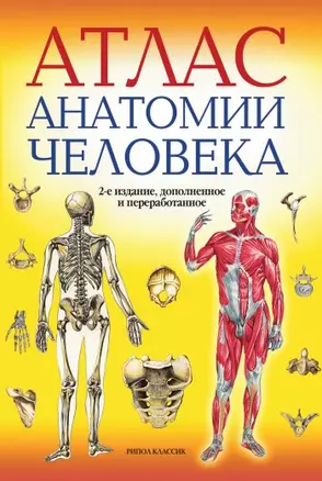 Атлас анатомии человека -2-е изд. доп. и перераб. — 2221627 — 1