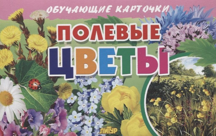 

Обучающие карточки "Полевые цветы"