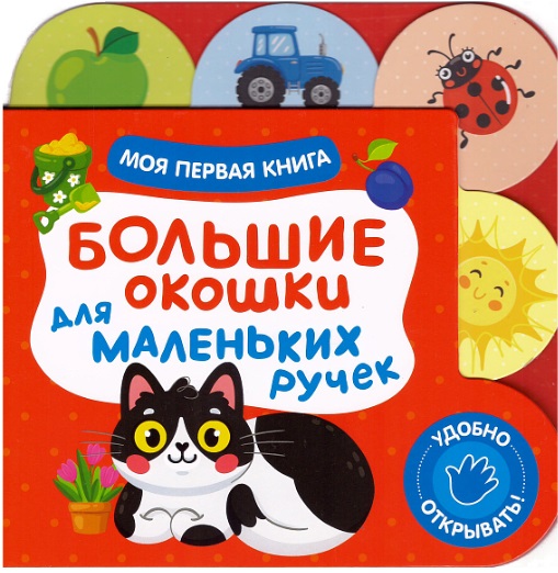 Большие окошки для маленьких ручек. Моя первая книга