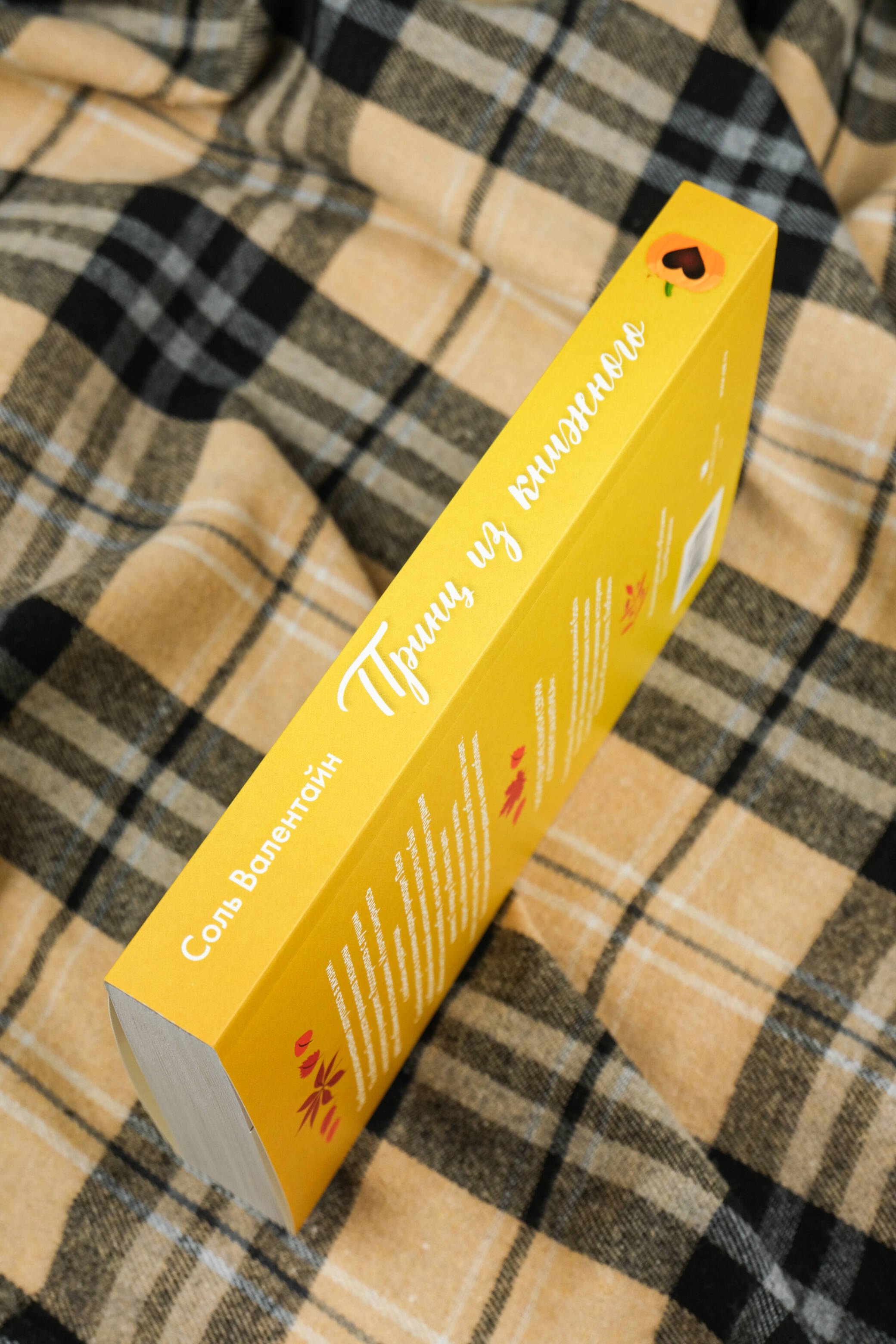 Изображение бумажной книги