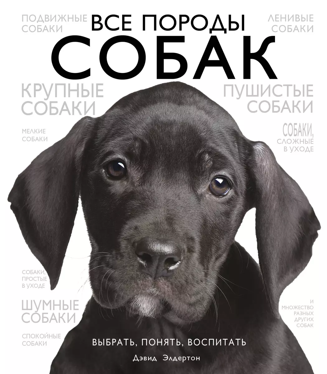 Все породы собак (Дэвид Элдертон) - купить книгу с доставкой в  интернет-магазине «Читай-город». ISBN: 978-5-699-48514-7