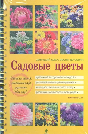 Садовые цветы. Цветущий сад с весны до осени (жёлт) — 2302875 — 1