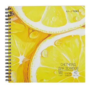 Скетчбук 190*190 40л "Сочно" 100г/м2, мел.картон, выб.лак, евроспираль 3063049