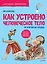 Как устроено Человеческое тело. От клетки до сердца — 2780878 — 1